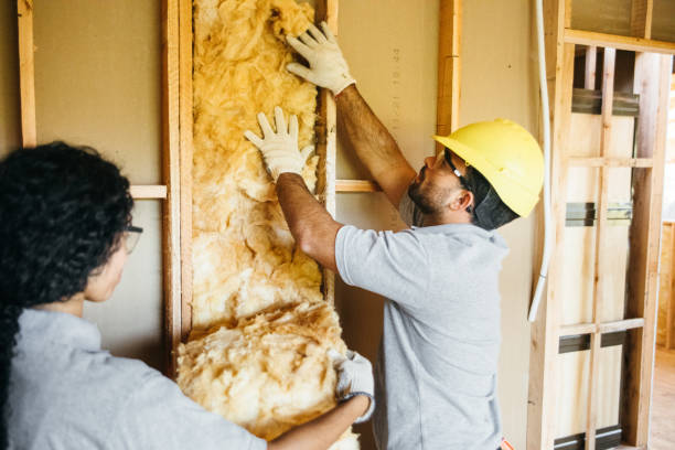 Best Best Insulation Companies  in Caldwell, NJ